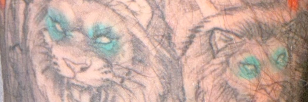 Th3Authosopher's profile banner image