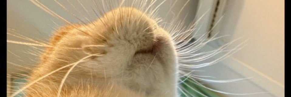 dirtandwormss's profile banner image