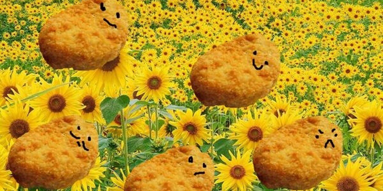 SBossoms's profile banner image