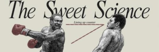 Melviegp0's profile banner image