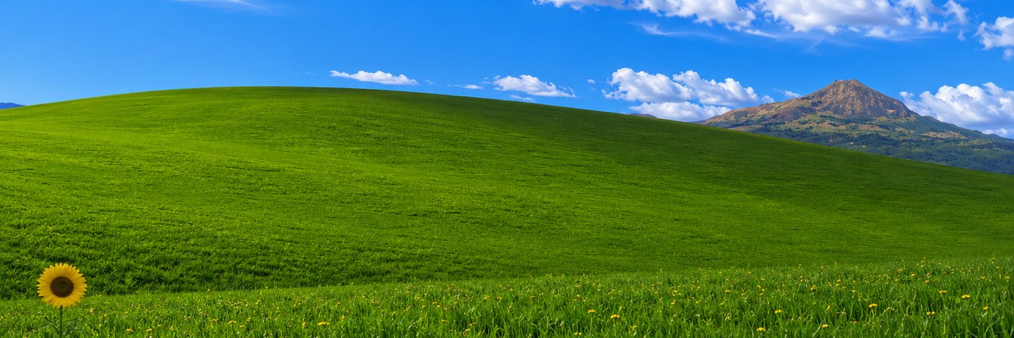 realnuvv's profile banner image
