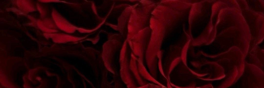 jurelieamore's profile banner image