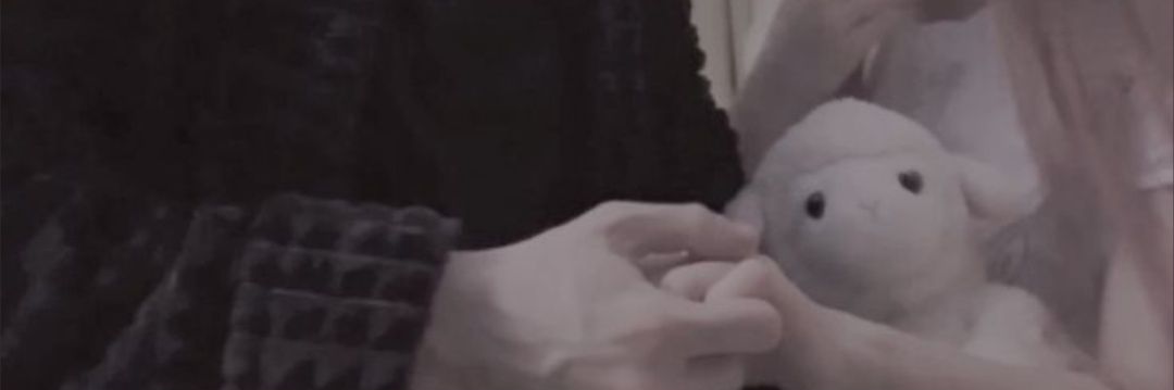 dollysiu5's profile banner image