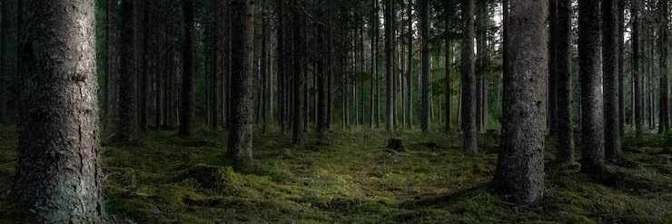 AdKasprowy62's profile banner image