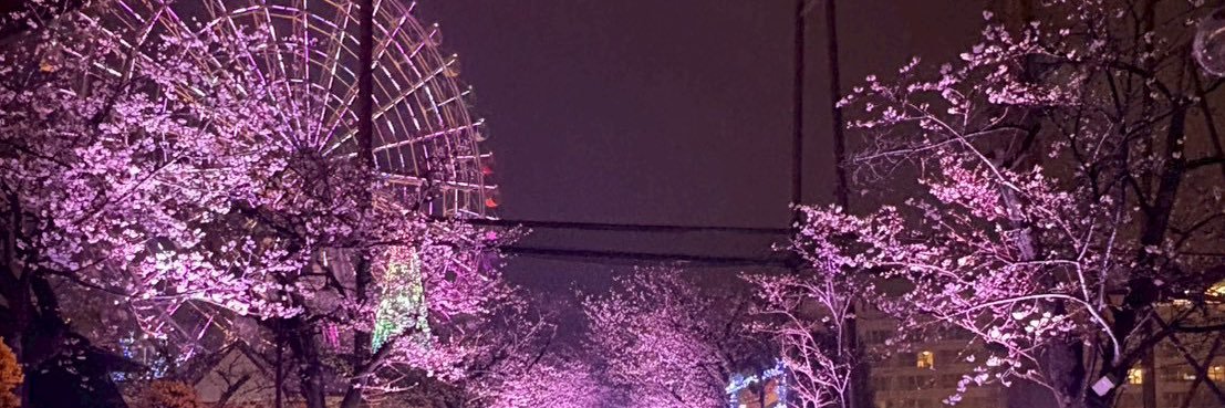 xxvfql's profile banner image