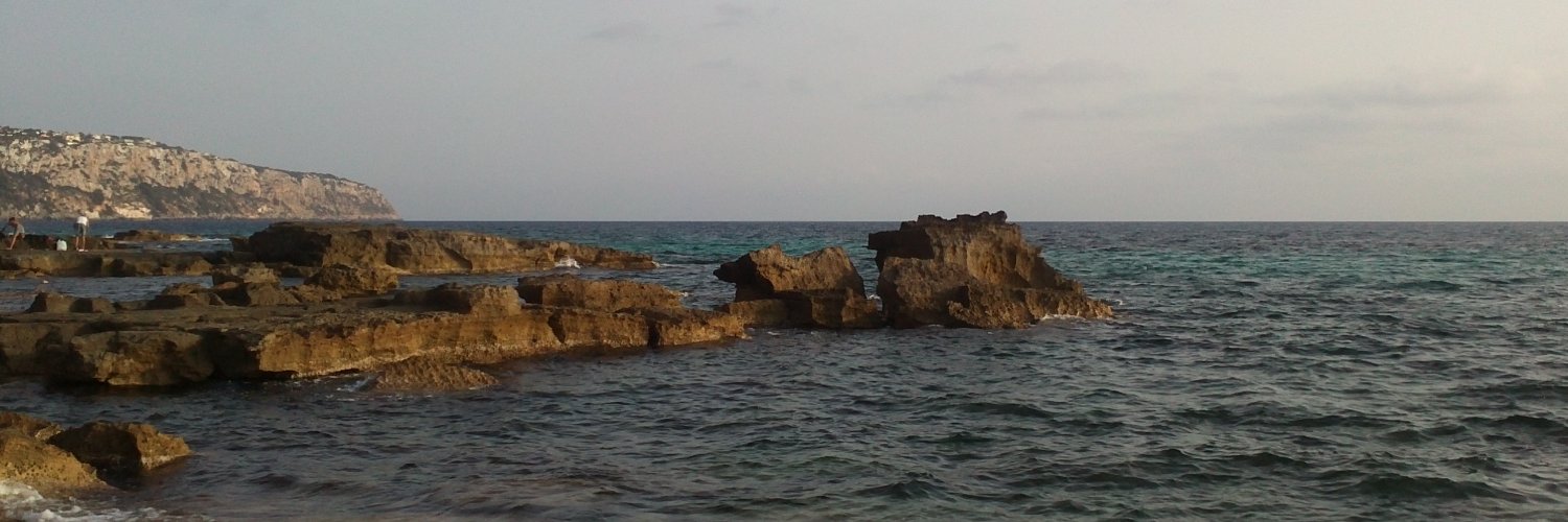 Albert Nicolau banner