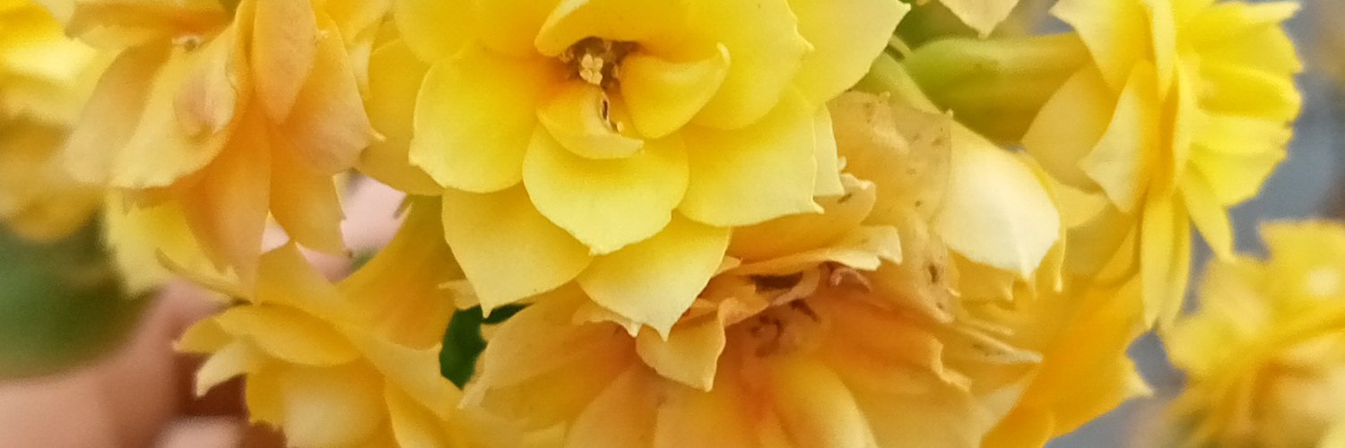 afakv3's profile banner image