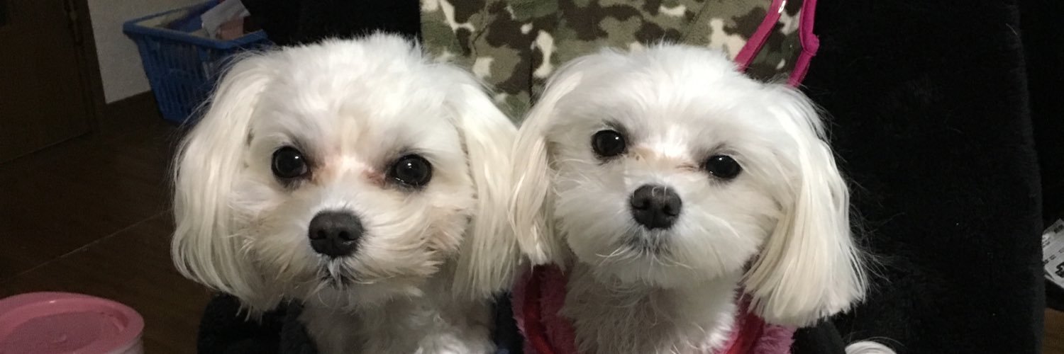 MUGENINSIGHTLS's profile banner image