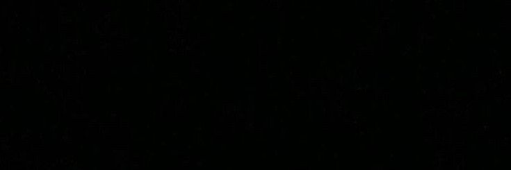 reoaspf's profile banner image