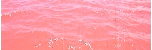 ShellyAvner's profile banner image
