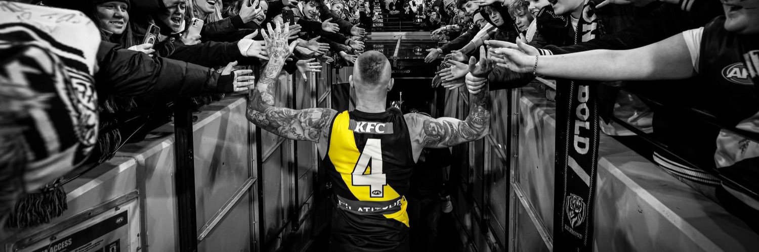 tigerd's profile banner image