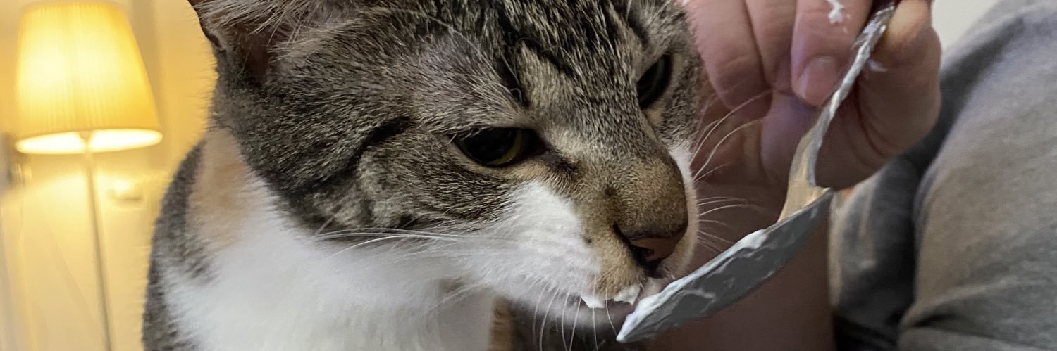 sofiwho123's profile banner image