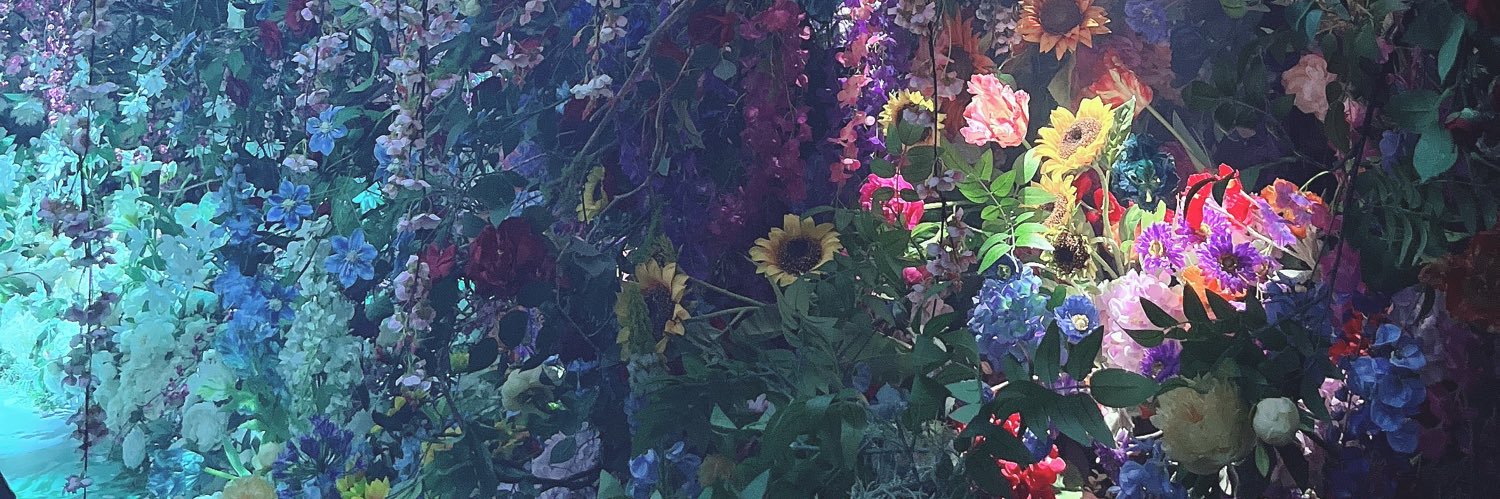 Noev__02's profile banner image