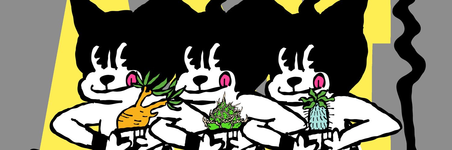 hacocolle's profile banner image