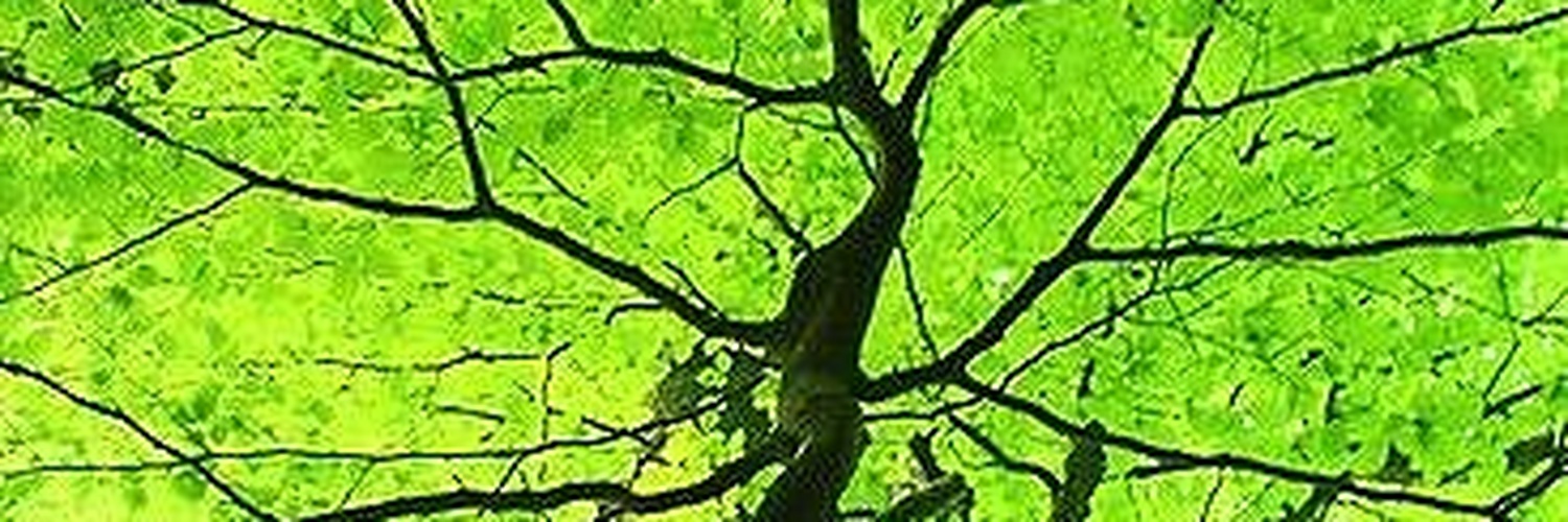 SummerKirbsk's profile banner image