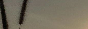 supanichpys's profile banner image