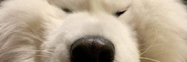 mbibmbub's profile banner image