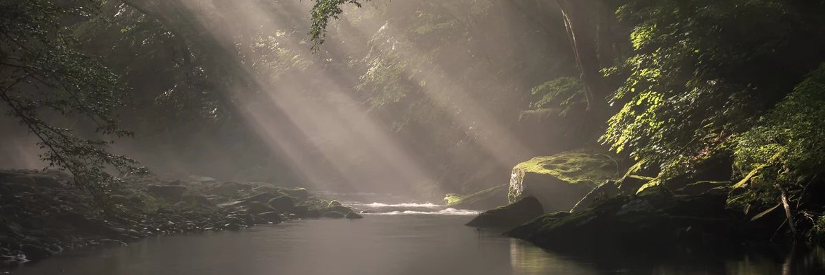 KAM banner