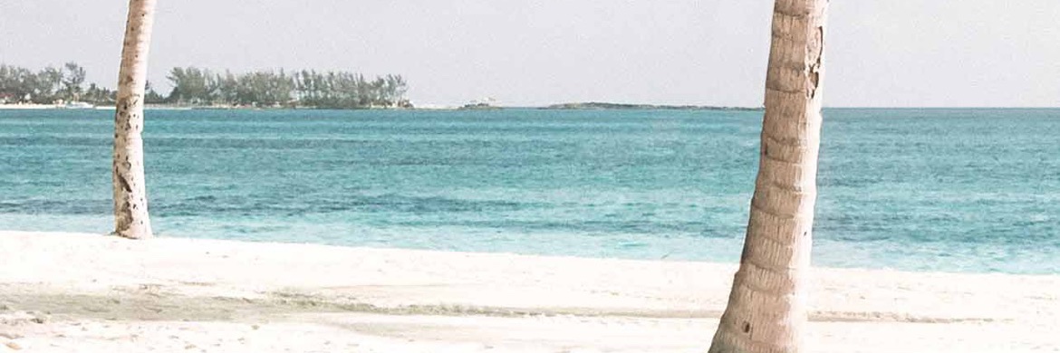 SsasiMsPy's profile banner image