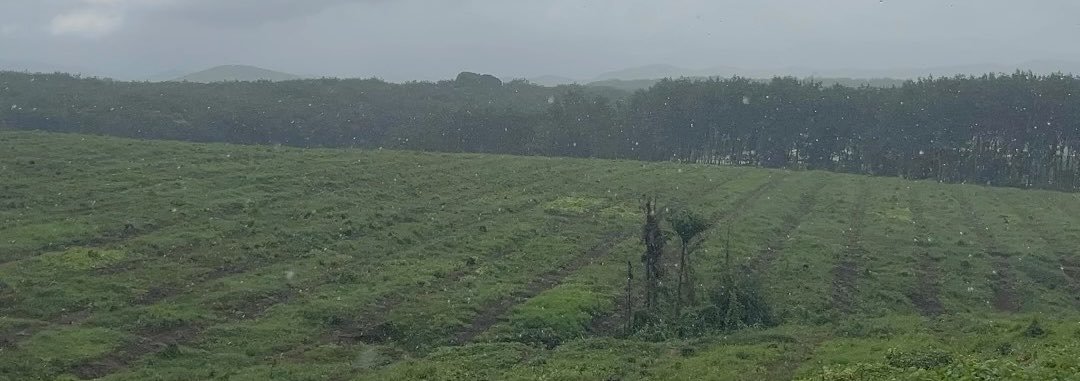 tharlay69's profile banner image