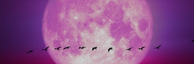 anvida32's profile banner image