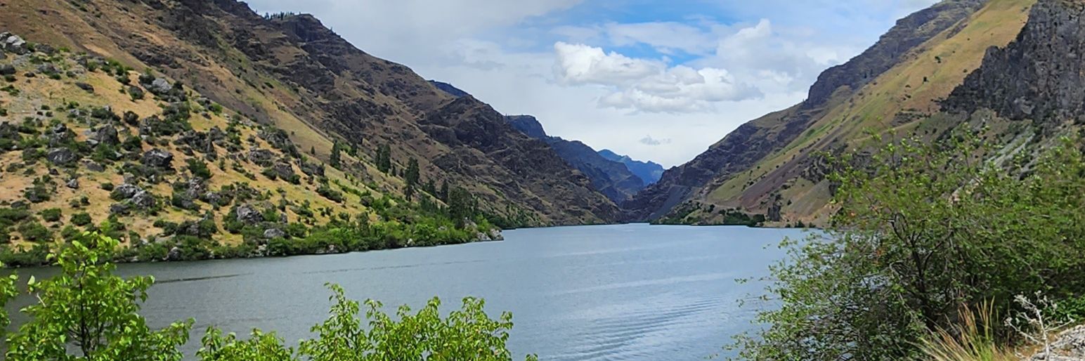 Dave Courvoisier banner