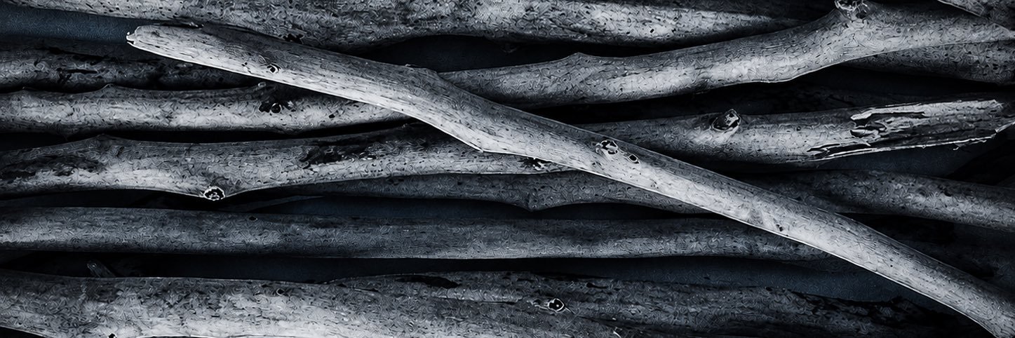 Seawood76's profile banner image