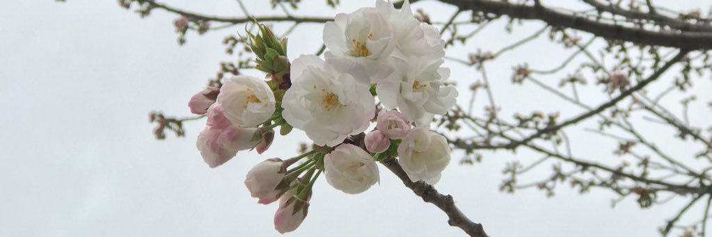 hydemod's profile banner image