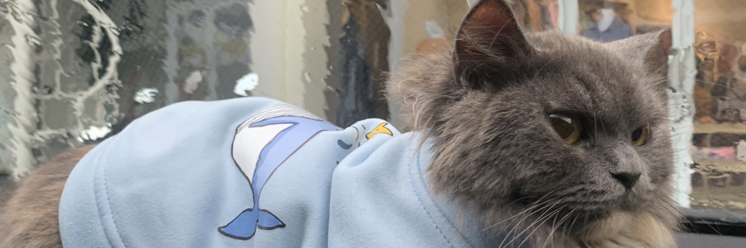 Gumilaaarr's profile banner image