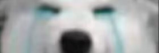Aperstrum's profile banner image