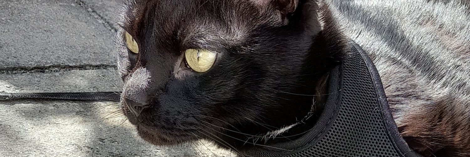 johnbtokyo's profile banner image