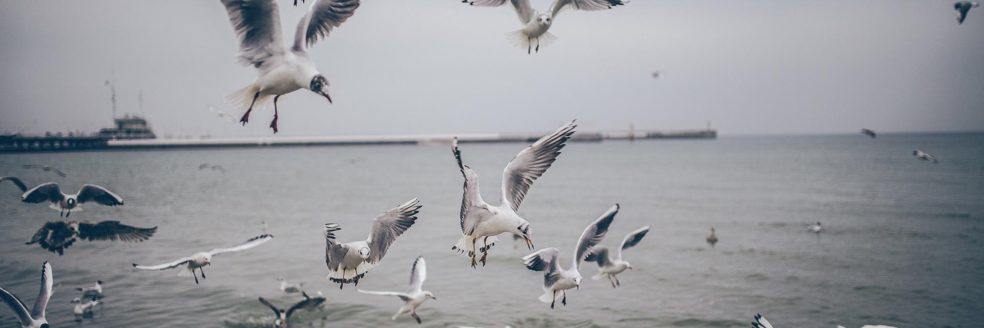 ArthurMelki's profile banner image