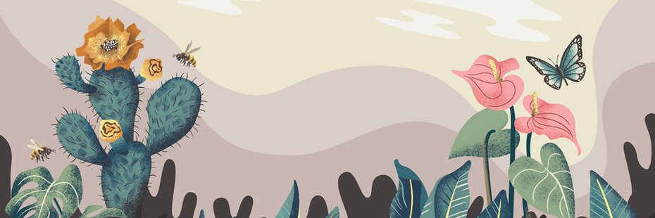 Rebecha's profile banner image
