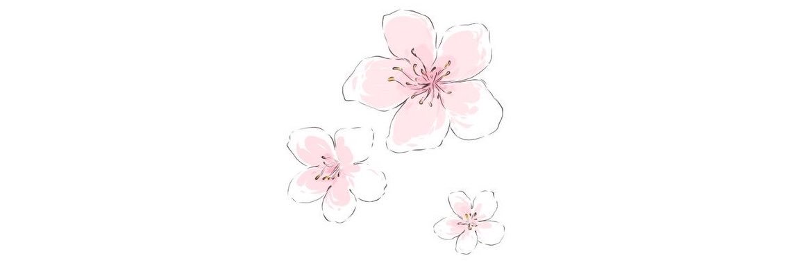 astraeauw's profile banner image