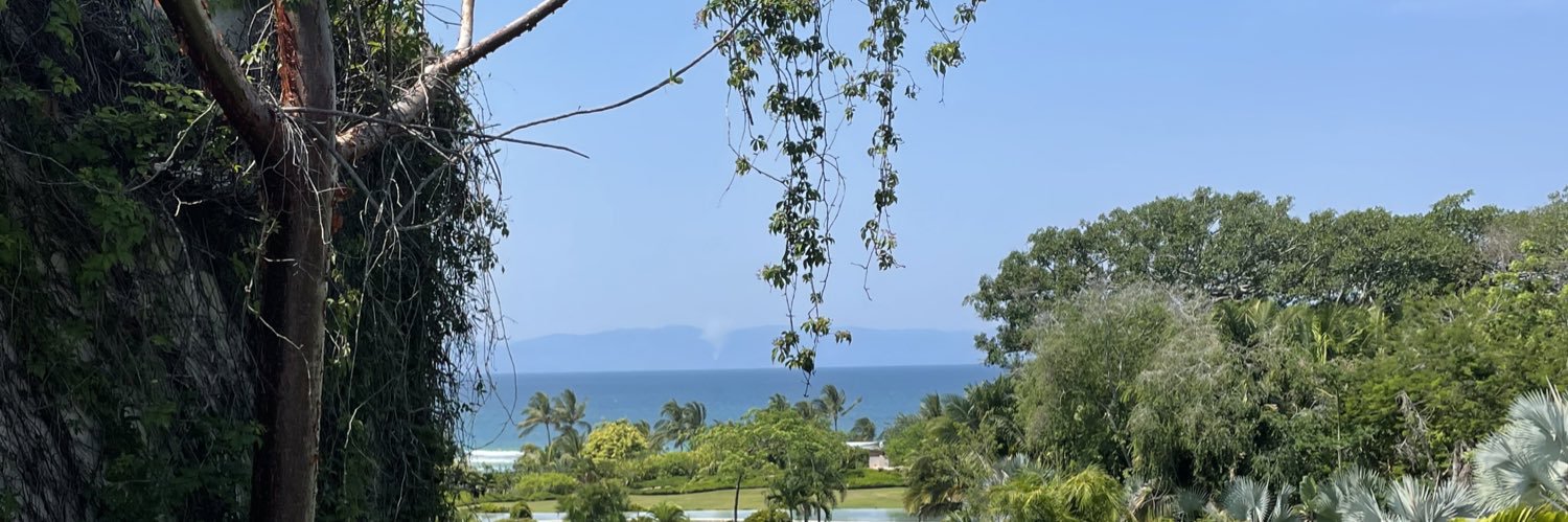 Melissa Schofield Londono banner