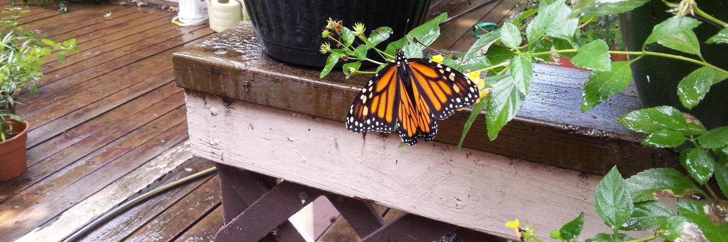 🌻🇺🇦🌻Stanley's Mom🌻🇺🇦🌻 #🟦 banner