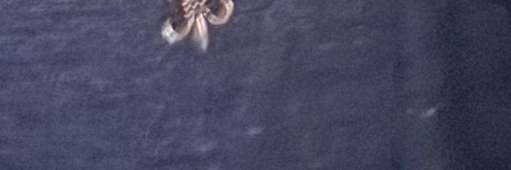 su4uto's profile banner image