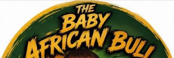 THEAFRICANBABY's profile banner image