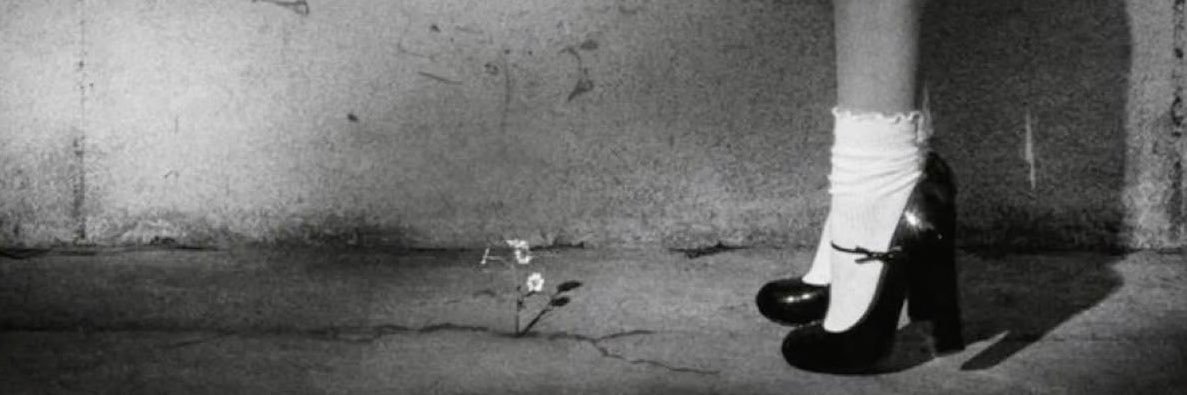 lumifiles's profile banner image