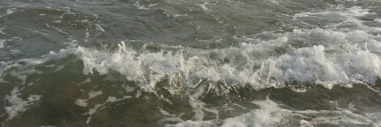 RiGaRod's profile banner image