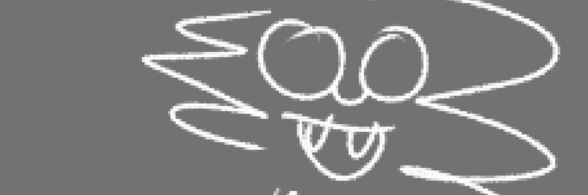 SecretsSearcher's profile banner image