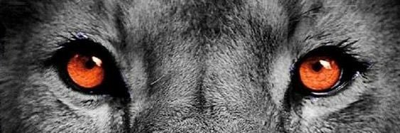 Marcosvaz23's profile banner image