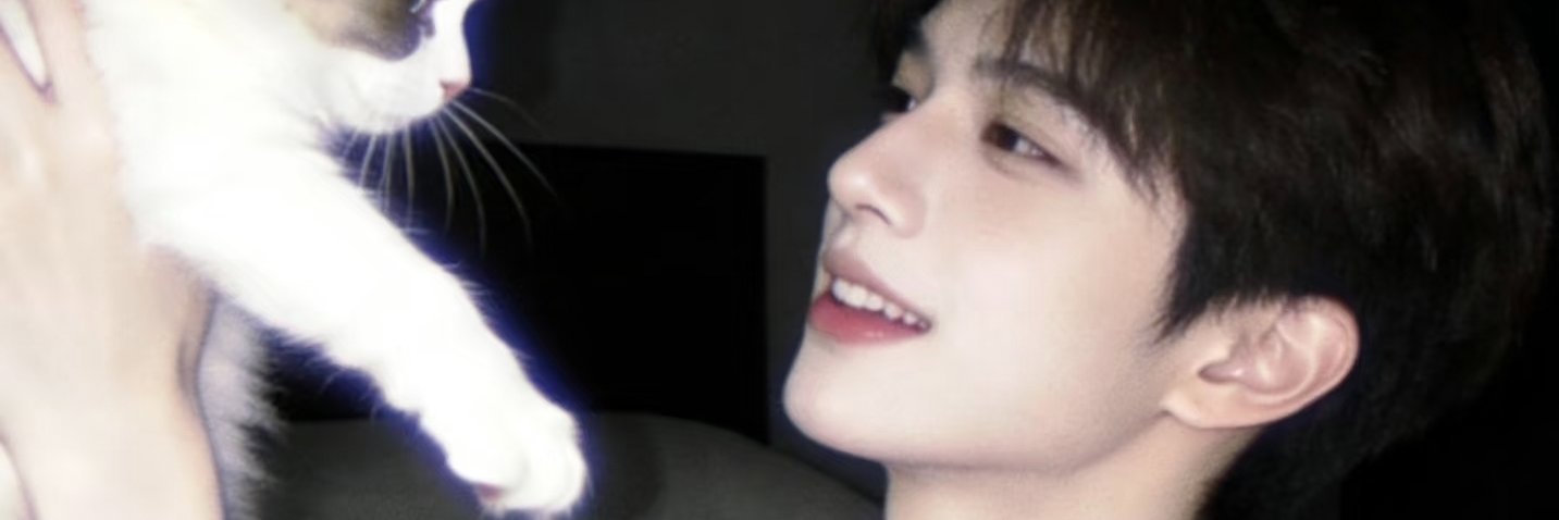 2381982960qqco's profile banner image