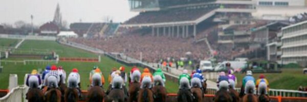 STurnerTipster Profile Banner