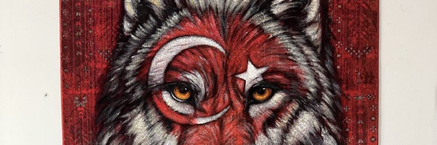 turk3436's profile banner image