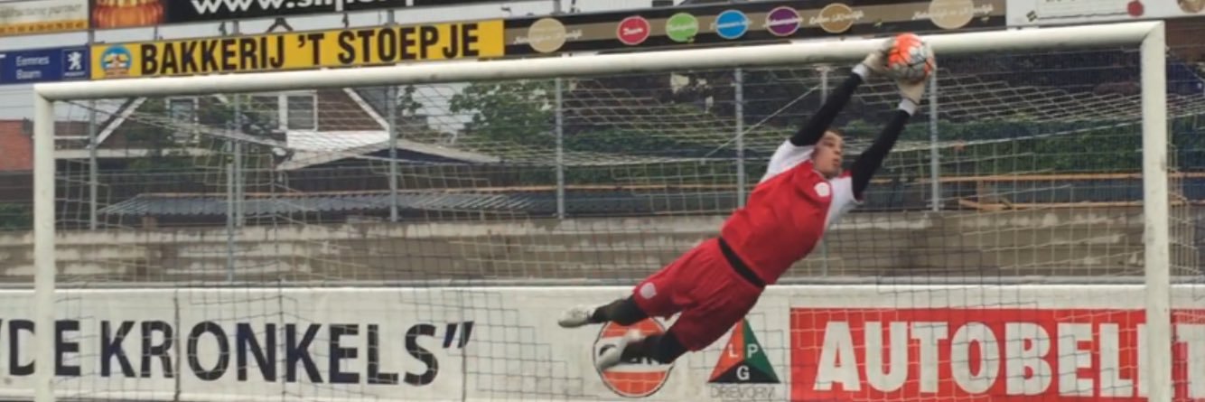 Lammert banner