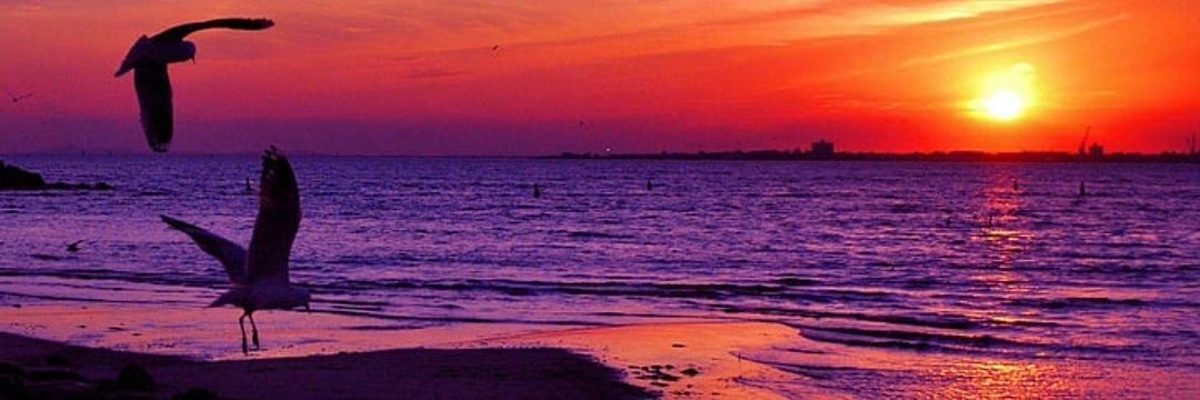 ece3345's profile banner image
