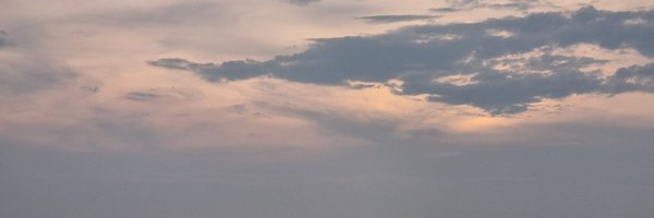 nettzue Profile Banner