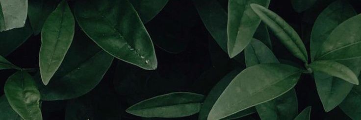 AdlanR_'s profile banner image