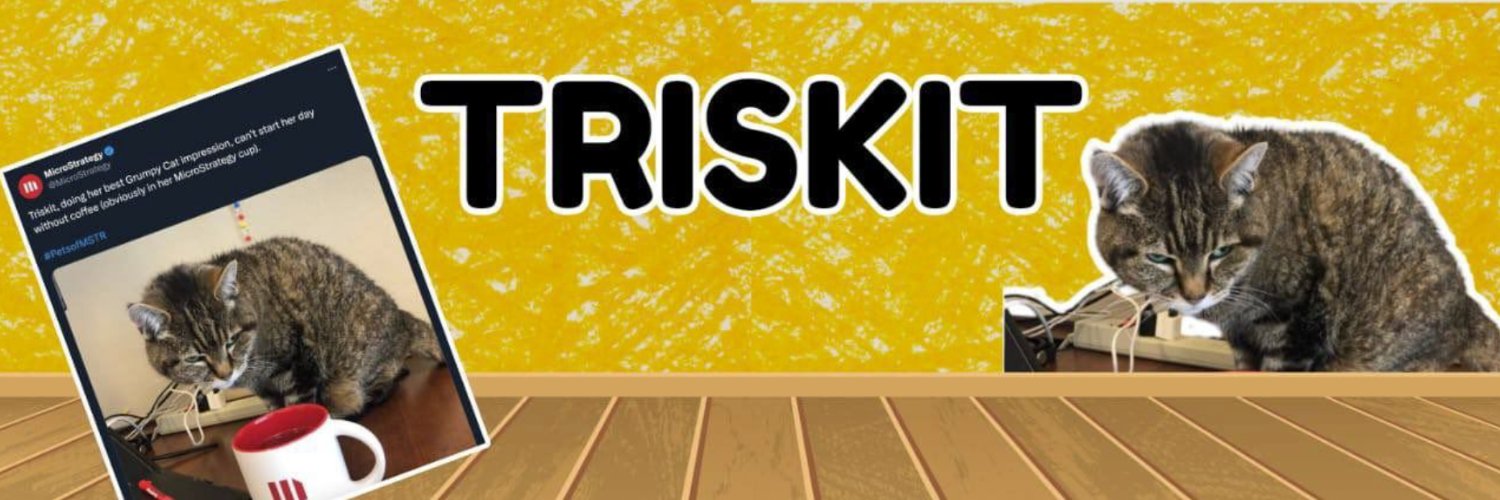 triskitrh's profile banner image